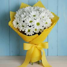 Букет цветов из:  Хризантемы в Бурлацком