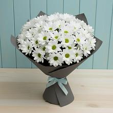 Букет цветов из:  Хризантемы #REPLACE_PRED# Бурлацком