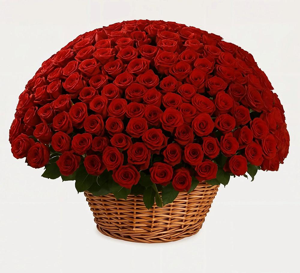 Премиум букет из: Розы в Бурлацком