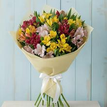 Букет цветов из:  Альстромерии в Бурлацком