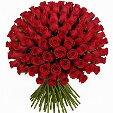 Букет Красные розы Чери Лав в Бурлацком
